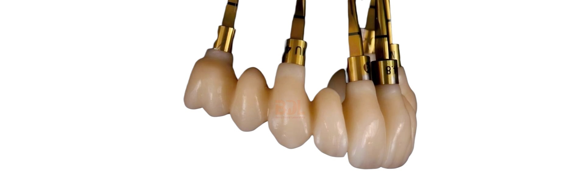 Qualità Dentiere in ceramica Fabbrica